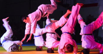 Judo Show