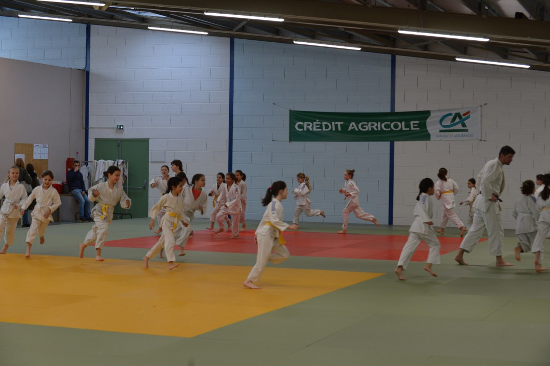 TOURNOI PRE-POUSSINS / POUSSINS DE LA COURONNE