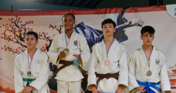 TOURNOI REGIONAL MINIME DE LIMOGES